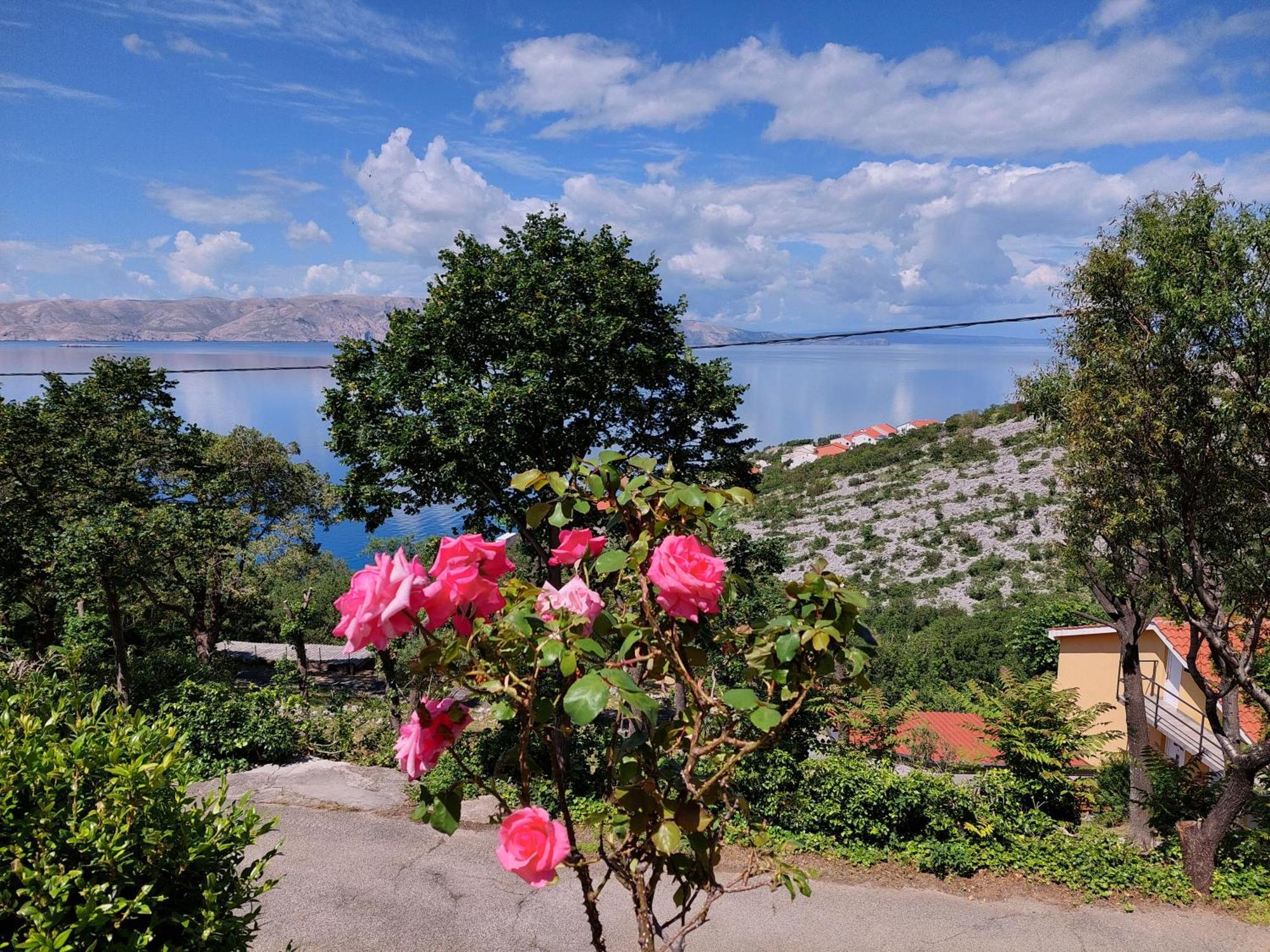 Apartamento Dalibor Senj  Exterior foto